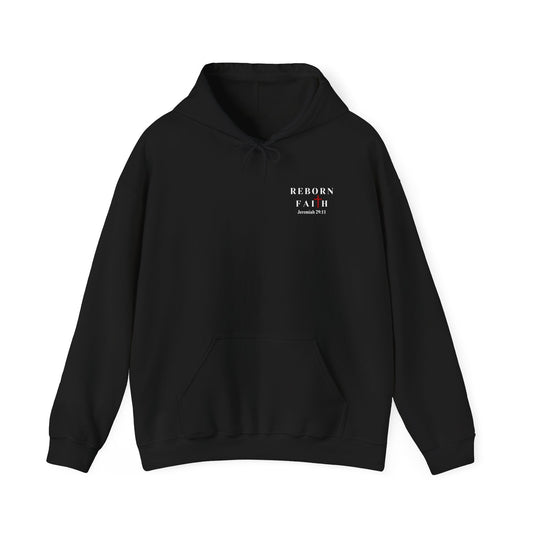 Jeremiah 29:11 "Gods Plan" Hoodie